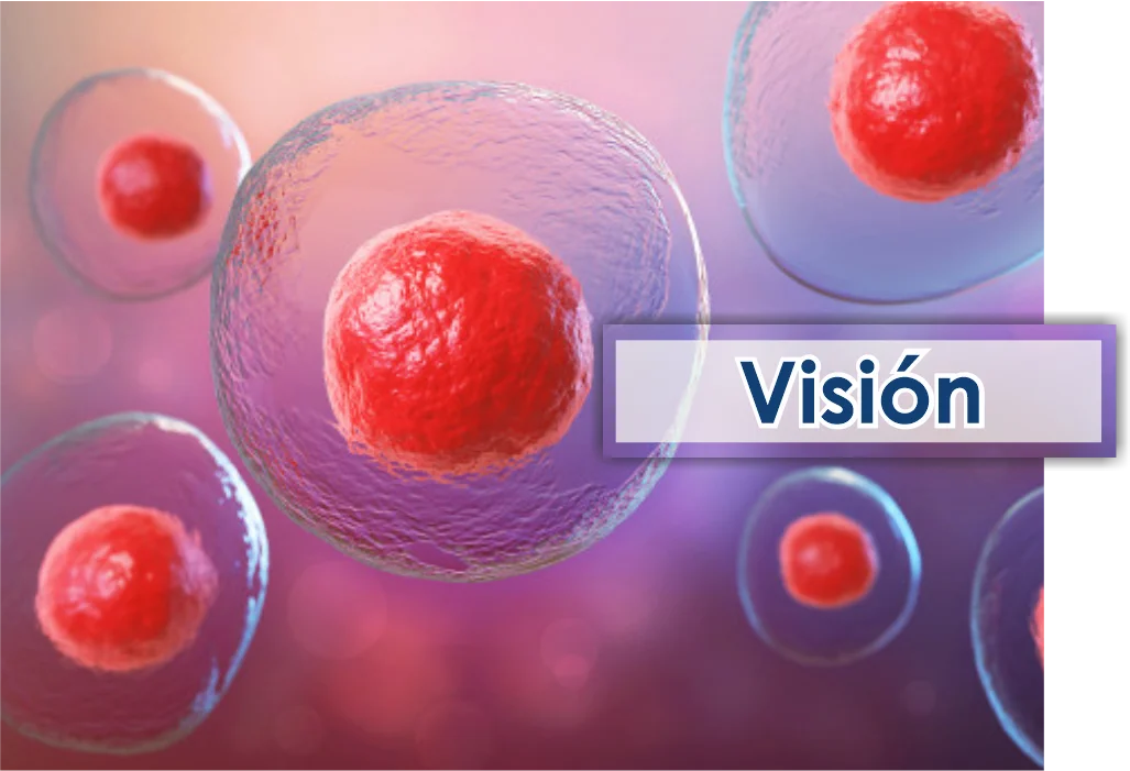 Visión